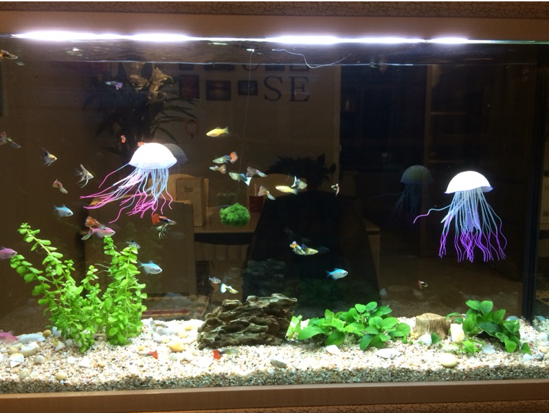 鱼缸造景仿真荧光金鱼水族箱装饰假鱼塑料会游动夜光观赏鱼带吸盘小