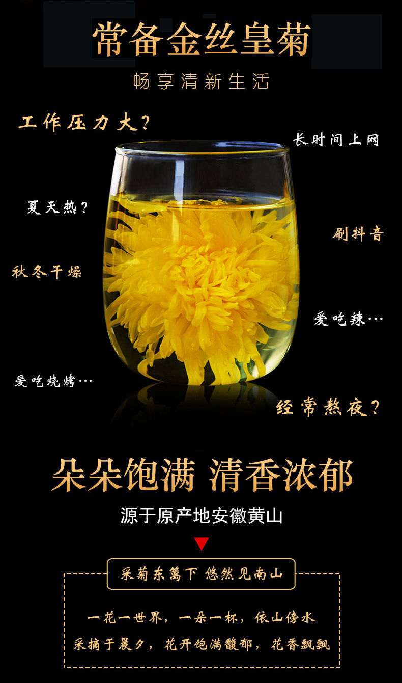 菊花茶菊花金丝皇菊一朵一杯特级菊花茶胎菊花茶决明子 40朵独立包装大花