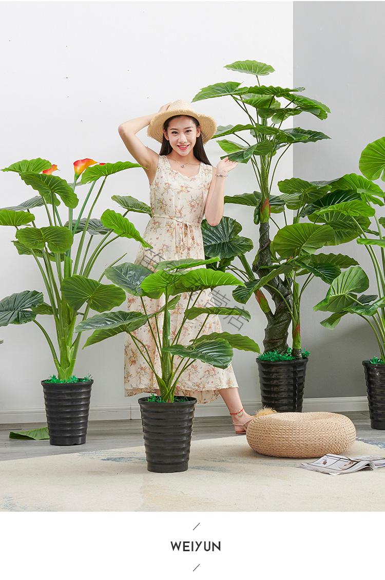 盆景大型客厅摆放假花塑料花仿真花艺装饰绿植纤雅洁1米三叉滴水盆草