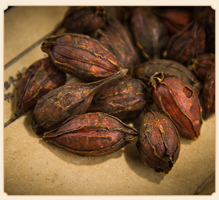 纯新货 炒栀子 焦栀子 炒枝子 栀子碳 炒山栀子 500克【图片 价格