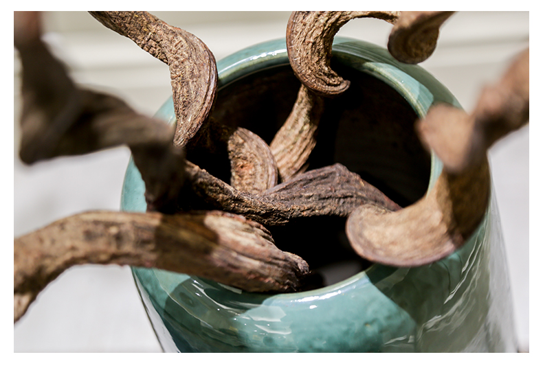 严选品质过江龙藤摆件软装饰干花干枝枯木树枝树藤干枯造型藤条插花干