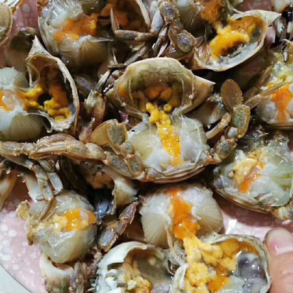 全母花盖蟹 带黄 500g 新鲜活腌制盐卤生腌螃蟹 咸蟹呛蟹 丹东海鲜