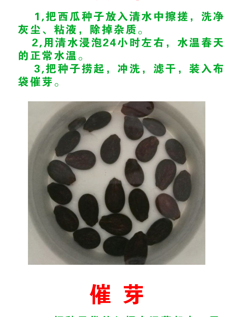 西瓜种子懒汉王特大四季超甜麒麟8424早熟无籽抗重茬蔬菜水果种孑 农