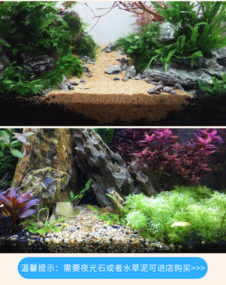 鱼缸石子鱼窝造景小装饰品 陶粒砂海沙雨林沙鹅卵石溪流石七彩色石头