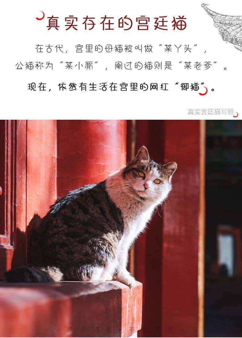 宫廷猫-喵皇上【图片 价格 品牌 报价】-京东