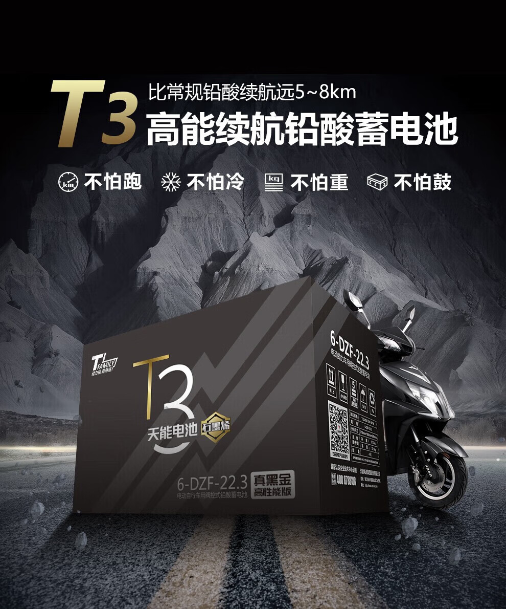 天能真黑金电池电动车电瓶铅酸免维护胶体蓄电池雅迪爱玛适用 48v13.