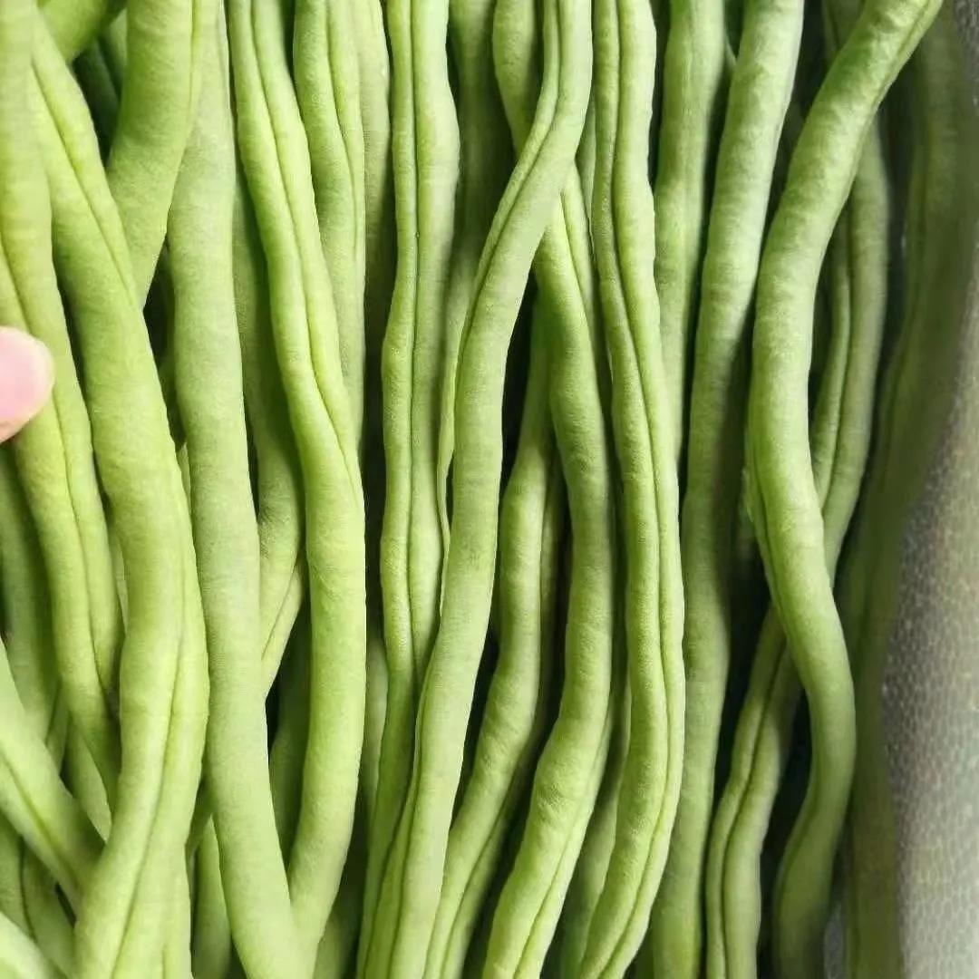 【精选果蔬】架豆王云南新鲜无筋豆青豆豆角当季时令蔬菜整箱批发农场