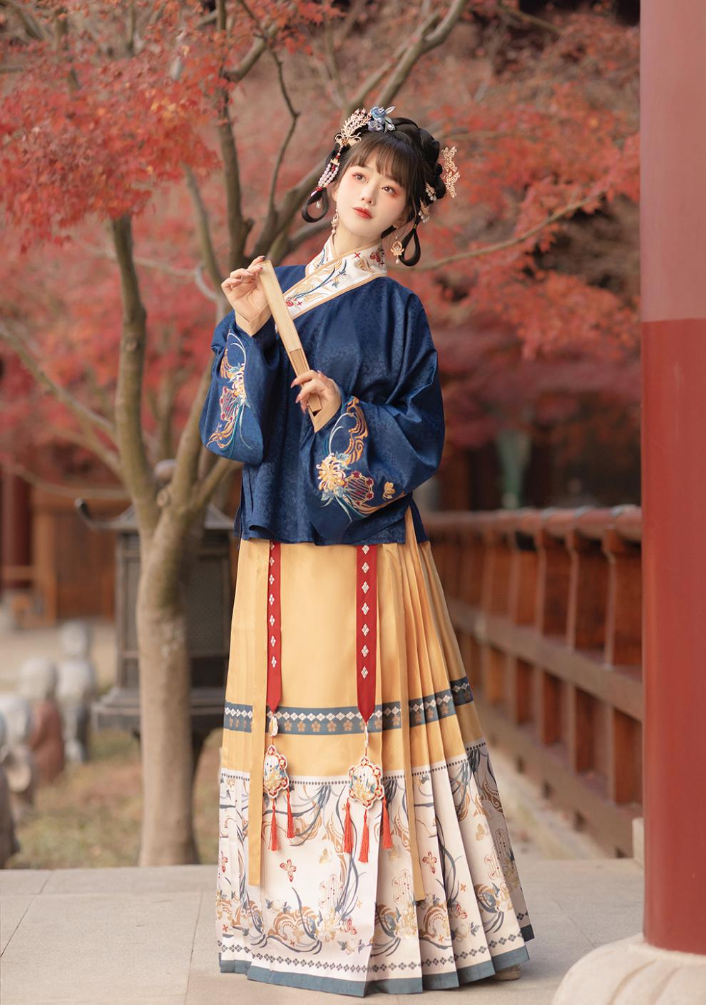 雅格罗伊汉服女成人秋冬明制汉服女方领半臂琵琶袖仿