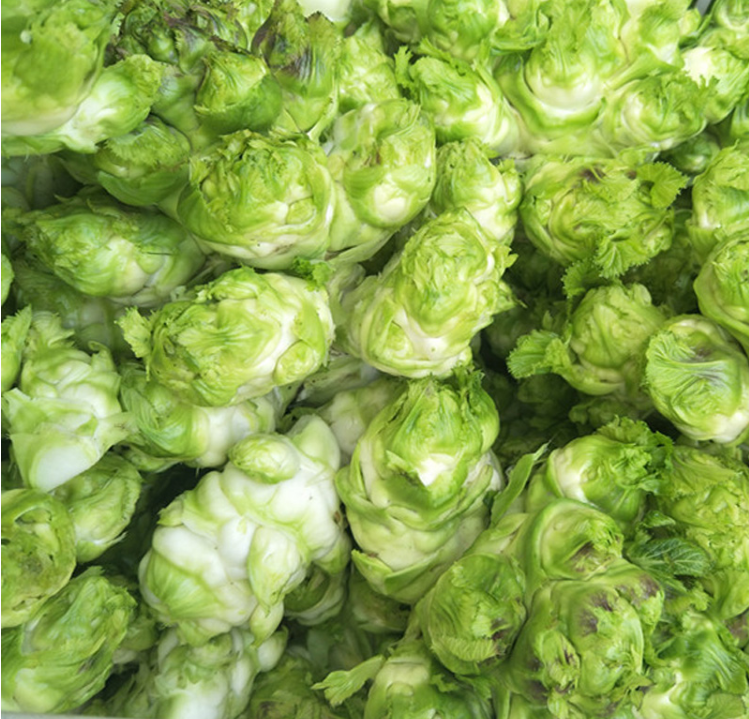 儿菜新鲜四川小儿仔芽抱儿菜58斤芥菜南充菜泡榨菜原料时令蔬菜礼盒