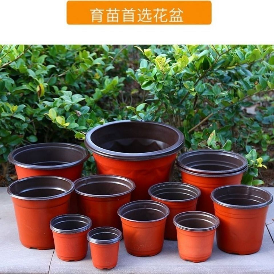 虞溪村双色盆批发一次性塑料花盆育苗盆营养钵抗老化扦插盆170型号