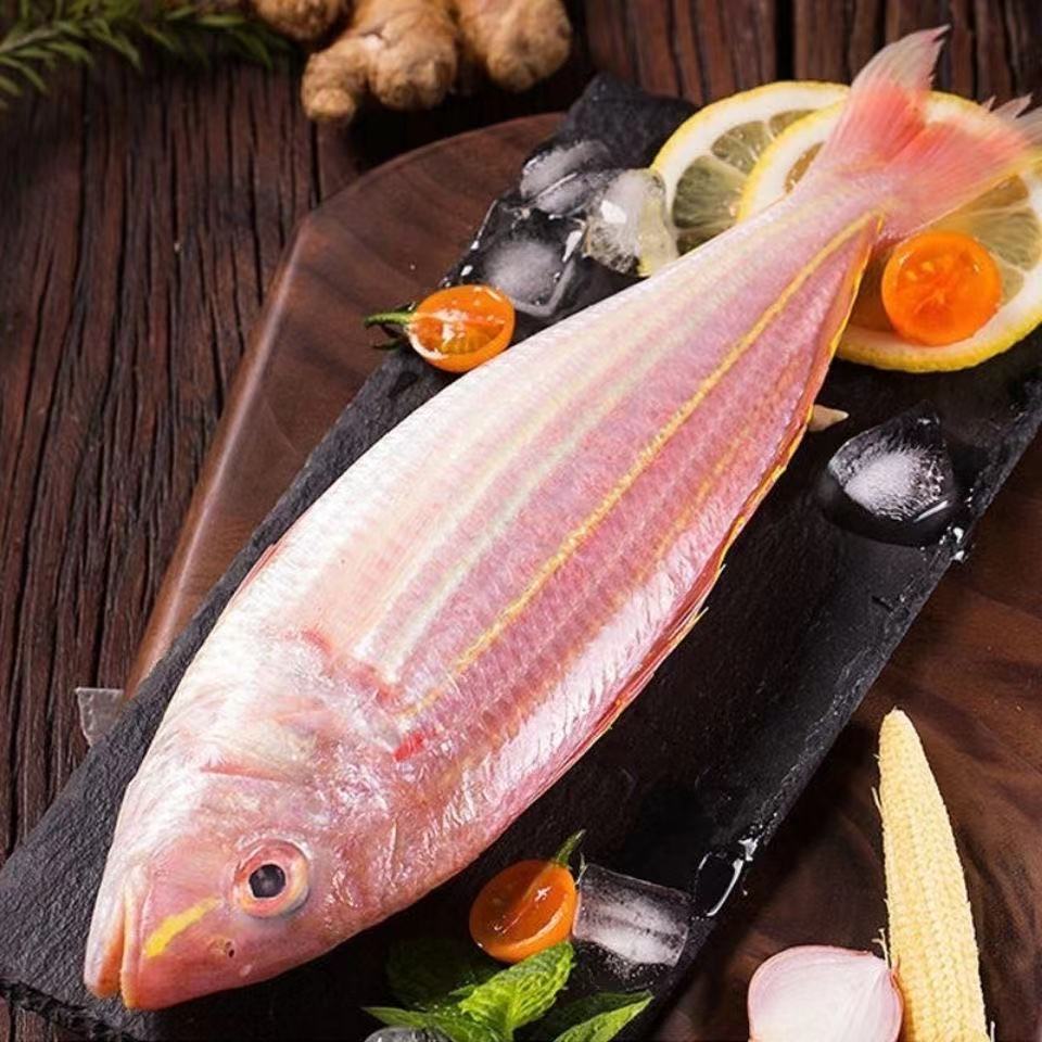 红杉鱼新鲜去肚冷冻鲜活水产金丝鱼海钓海捕金线批发去肚金丝鱼2斤6条