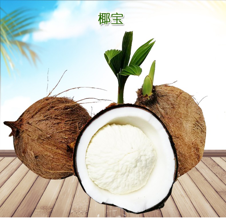 海南椰宝水果 新鲜椰子芯老椰子发芽椰子椰肉饼 2个装