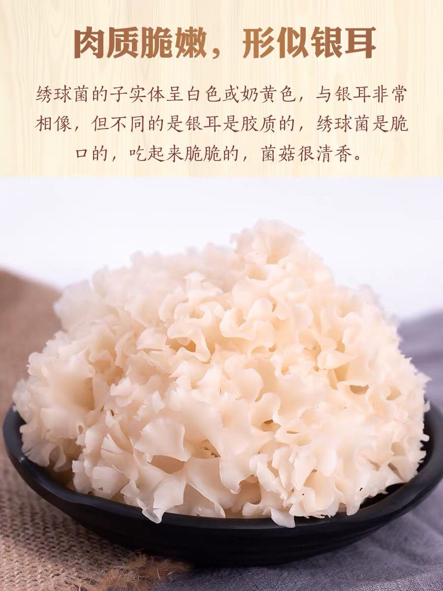 顺丰空运新鲜绣球菌云南菌菇煲汤火锅顺丰次日到家1000克新鲜绣球菌