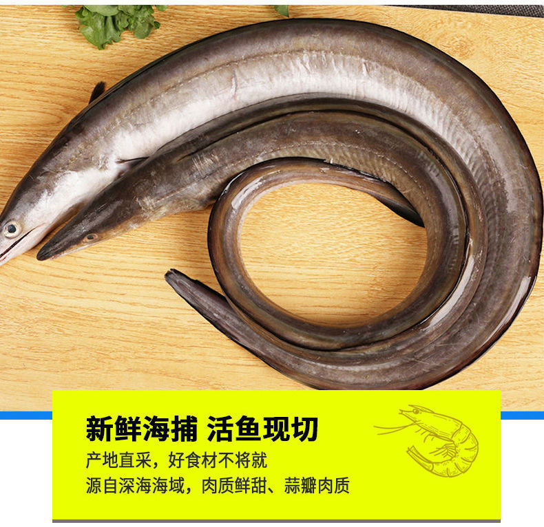 鳗鱼中段鳗鱼段鳗鱼片冷冻新鲜海鳗鱼段水产批发 5斤装【图片 价格