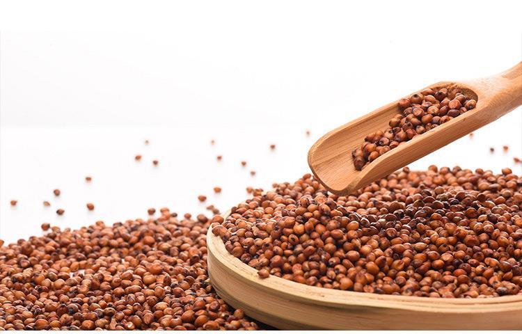 红高粱5斤带皮东北五谷杂粮粗粮黏糯高粱米大米酿酒带皮红高粱1斤 红