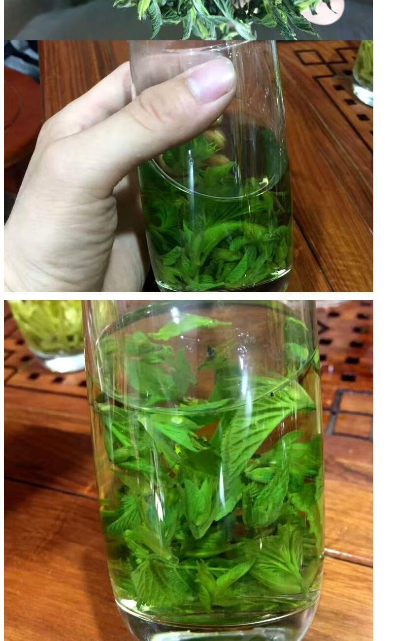 桑芽茶山东桑叶茶嫩芽茶桑芽菜非特级冻干霜后桑叶茶60g【图片 价格