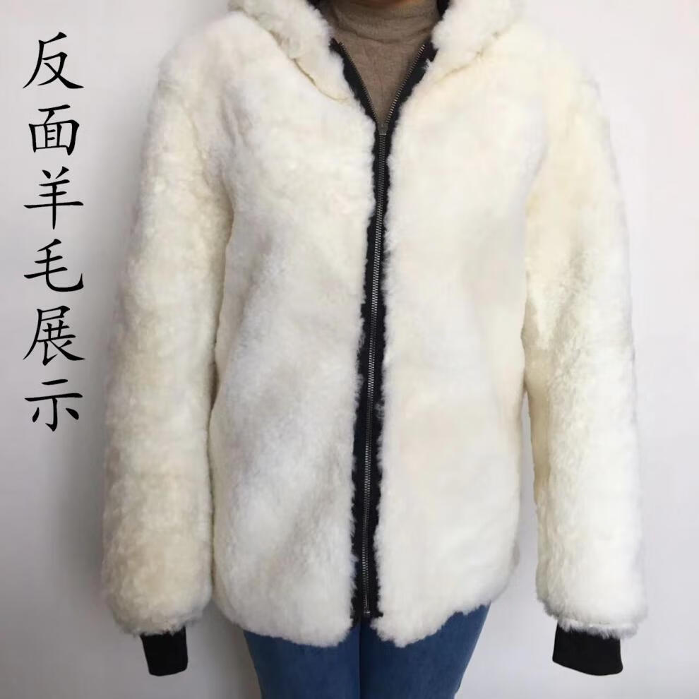 61bad2eba72a6580.jpg