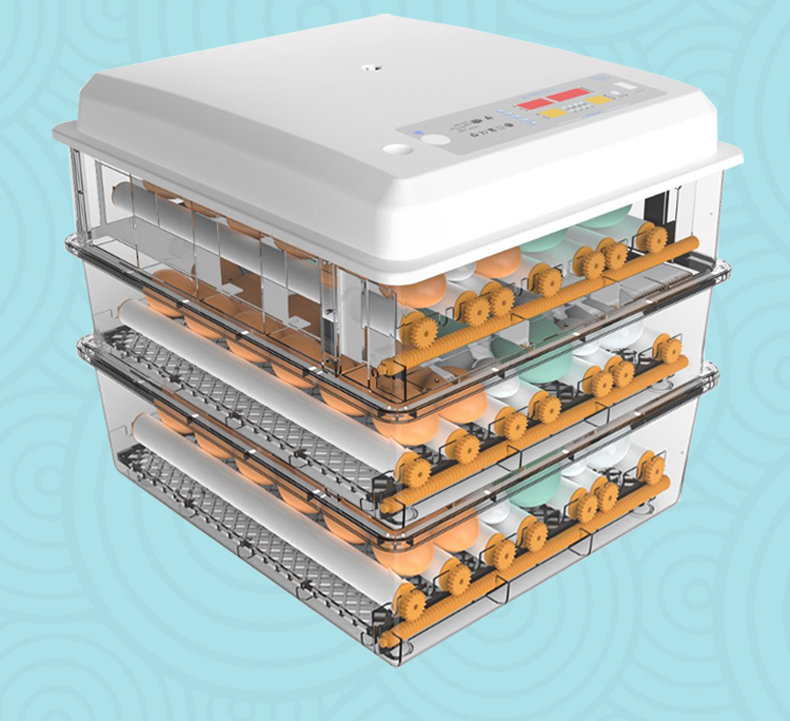 孵蛋器孵化器小型孵化器小型家用全自動養殖孵小雞的機器兒童迷你水床
