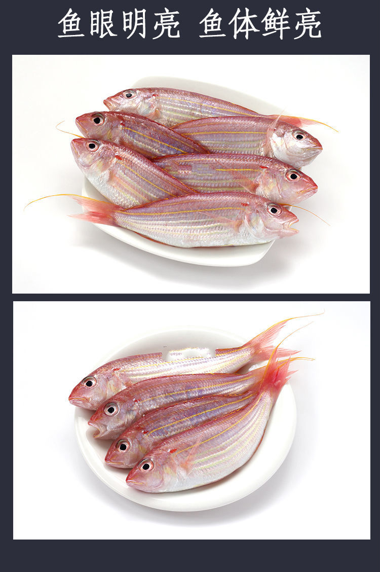 棠鲜生新鲜红衫鱼红杉鱼金线鱼金丝黄线红三鱼海鲜冰鲜红衫鱼46条斤含