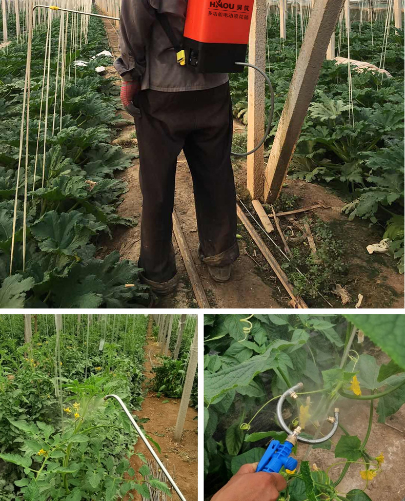 大棚农用小型锂电池电动喷花器西红柿樱桃黄瓜点花授粉粘粉喷雾器