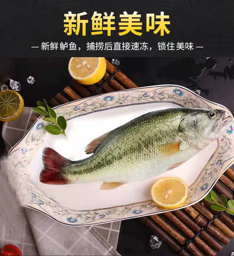 新鲜七星鲈鱼鲜活现杀真空包装全程冷链淡水鲈鱼新鲜美味清蒸鲈鱼腾旺