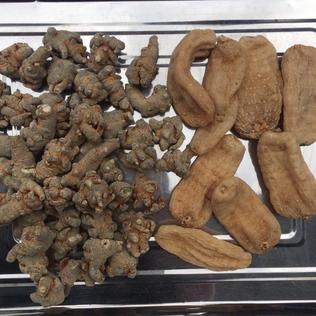 三七天麻正宗云南文山三七粉压片颗小草坝昭通天麻粉丸粒定制产品三七