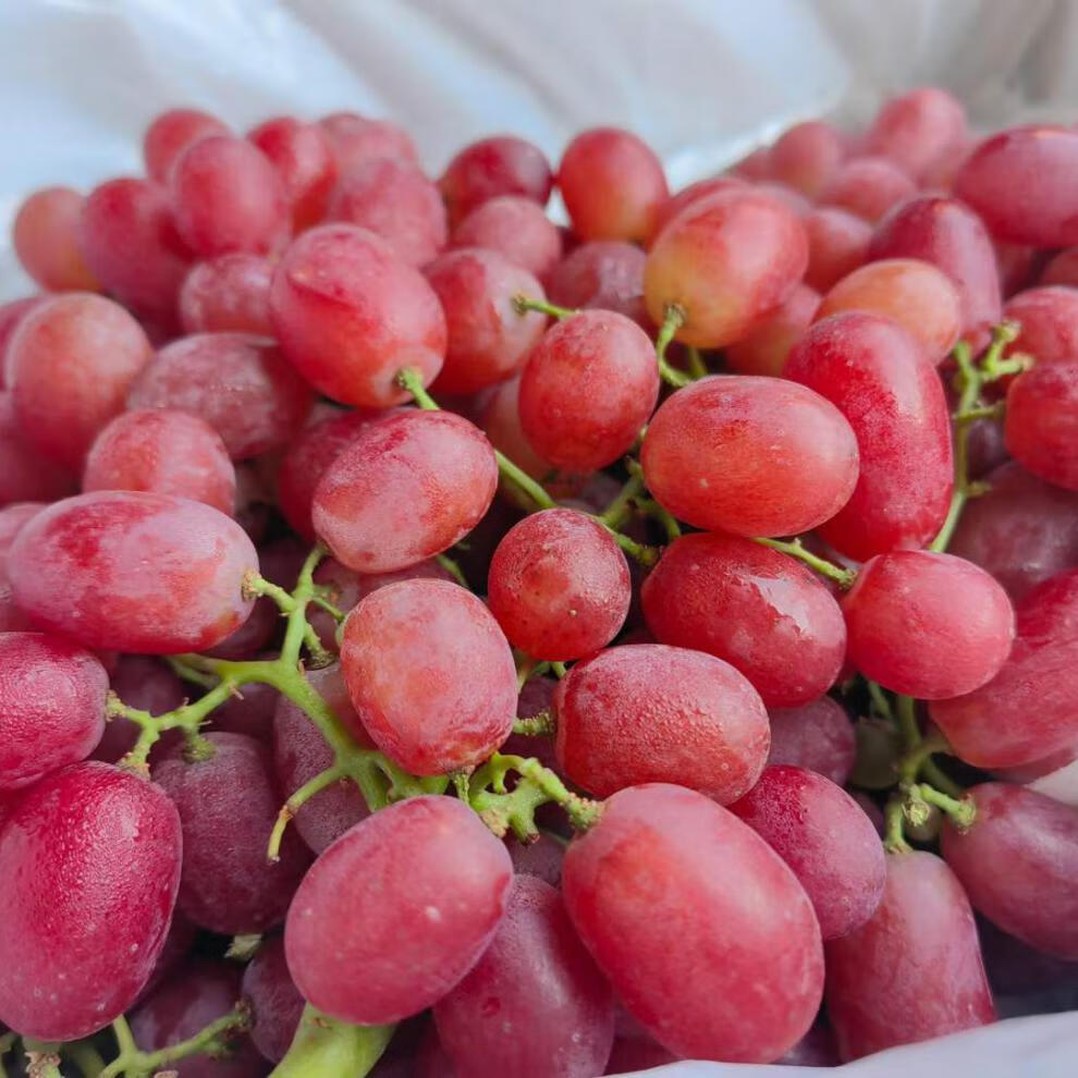 花客悦 【顺丰】西昌克伦生提子小红提新鲜无籽脆甜硬度高礼盒 4斤