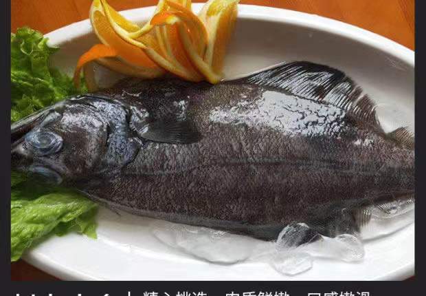 深海鲽鱼整条特大新鲜比目鱼大偏口鱼多宝鱼碟鱼每条8001000g海捕2条