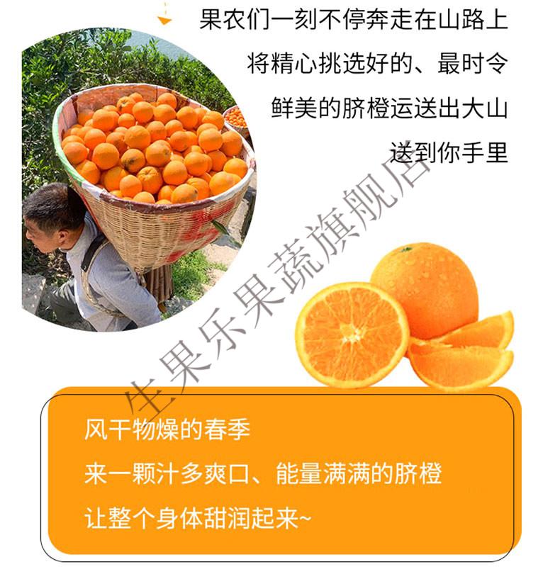 湖北秭归伦晚春橙脐橙新鲜九月红甜橙子当季孕妇水果5斤