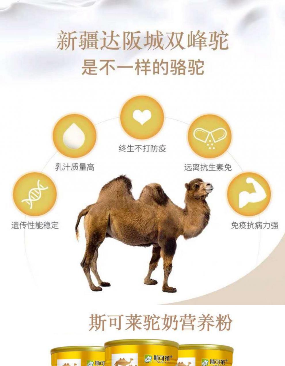 斯可莱驼奶营养粉新疆儿童成人中老年大漠白金骆驼奶粉900克无糖驼奶