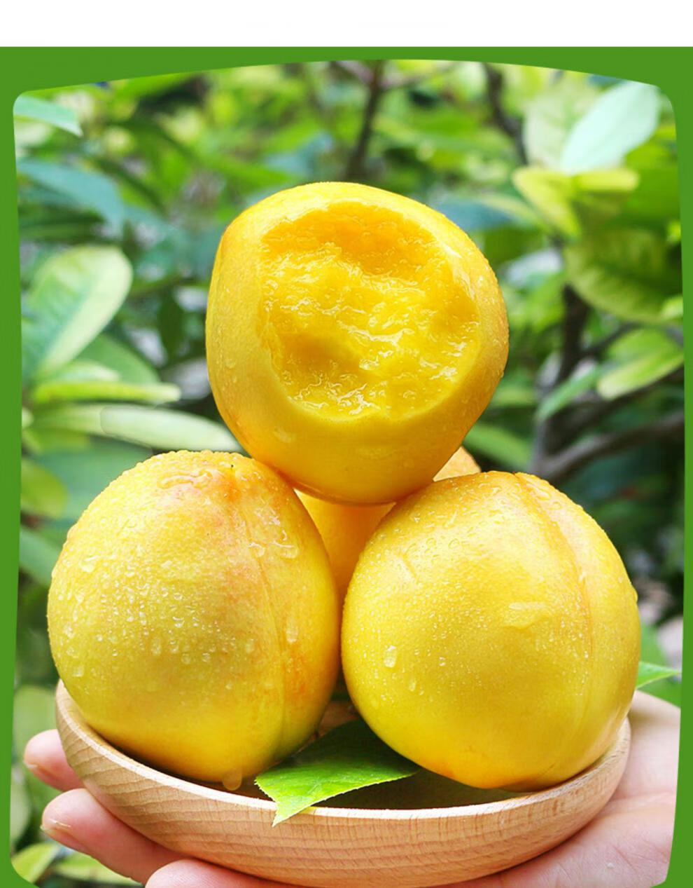 源外园黄油桃 大桃子水蜜黄肉油桃 当季新鲜水果桃皮薄肉厚核小多汁