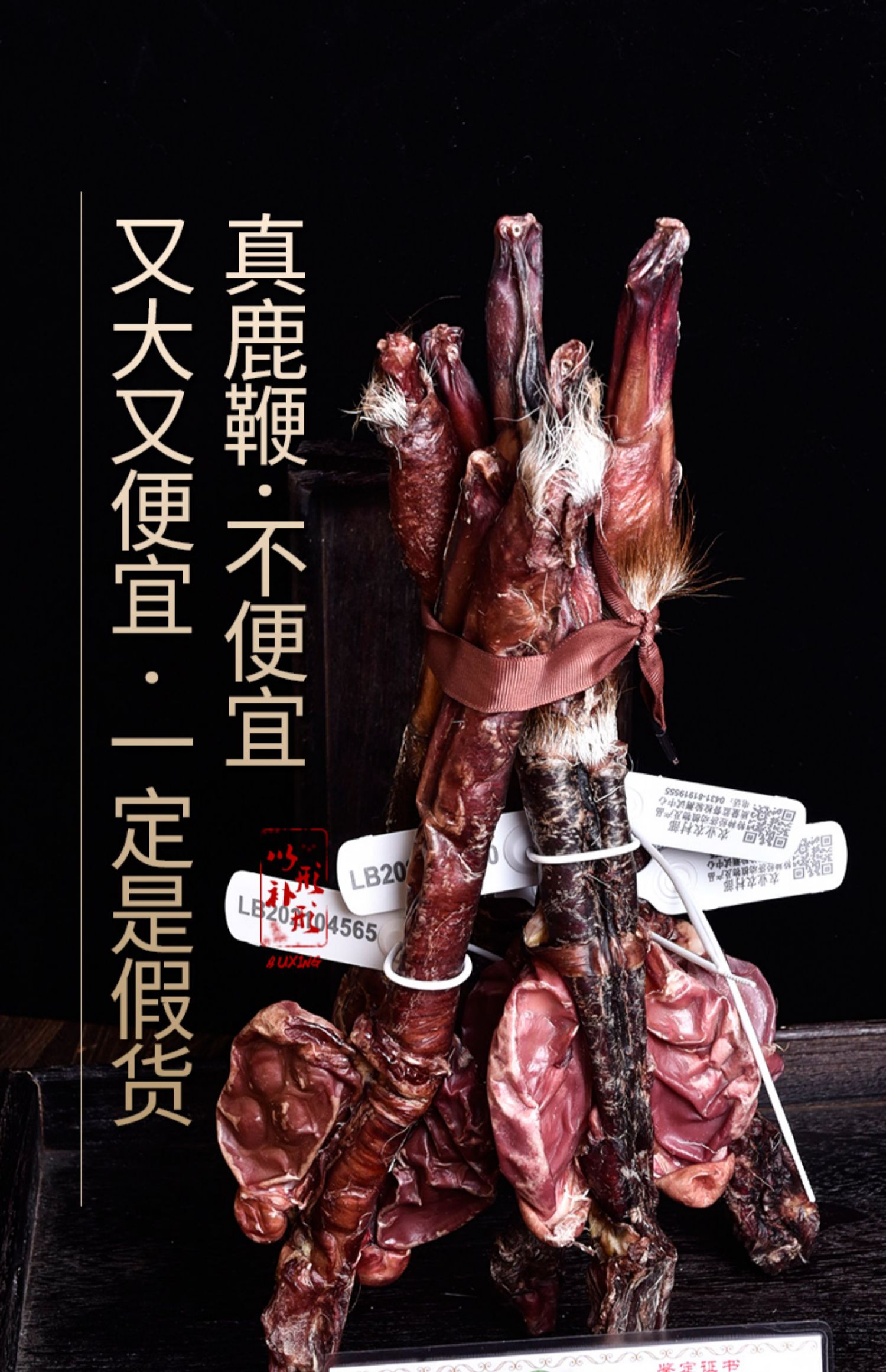 马鹿鞭干整根泡酒料鹿茸产品男性泡酒药材滋补源自吉林梅花鹿乡超大种