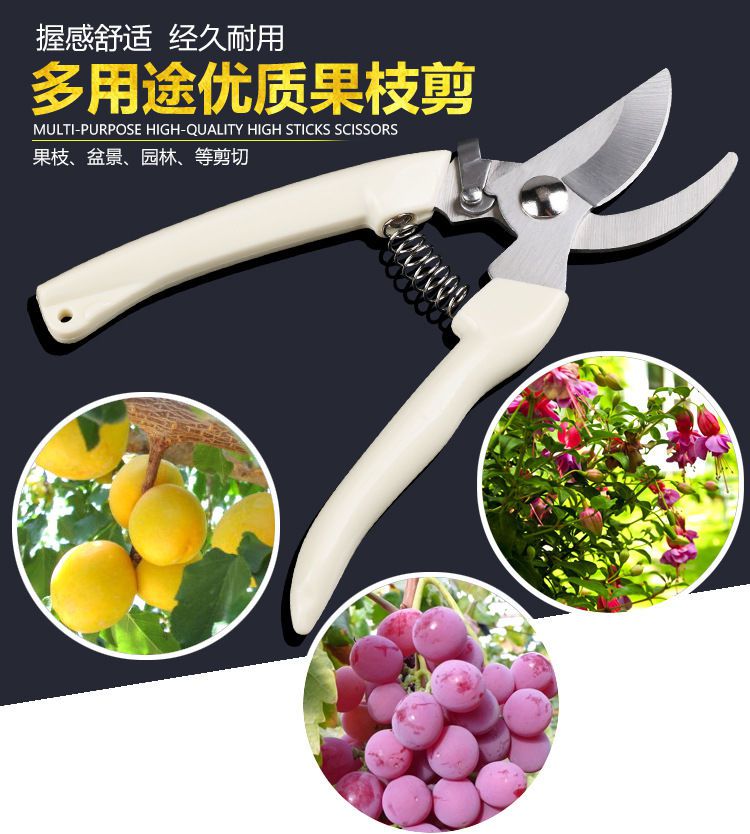 盆栽修枝剪盆景园艺剪刀家用修花剪多肉剪工具剪插花工具剪65锰钢修枝