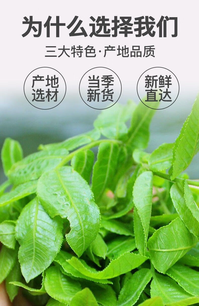 4133b03e35d95a6b.jpg