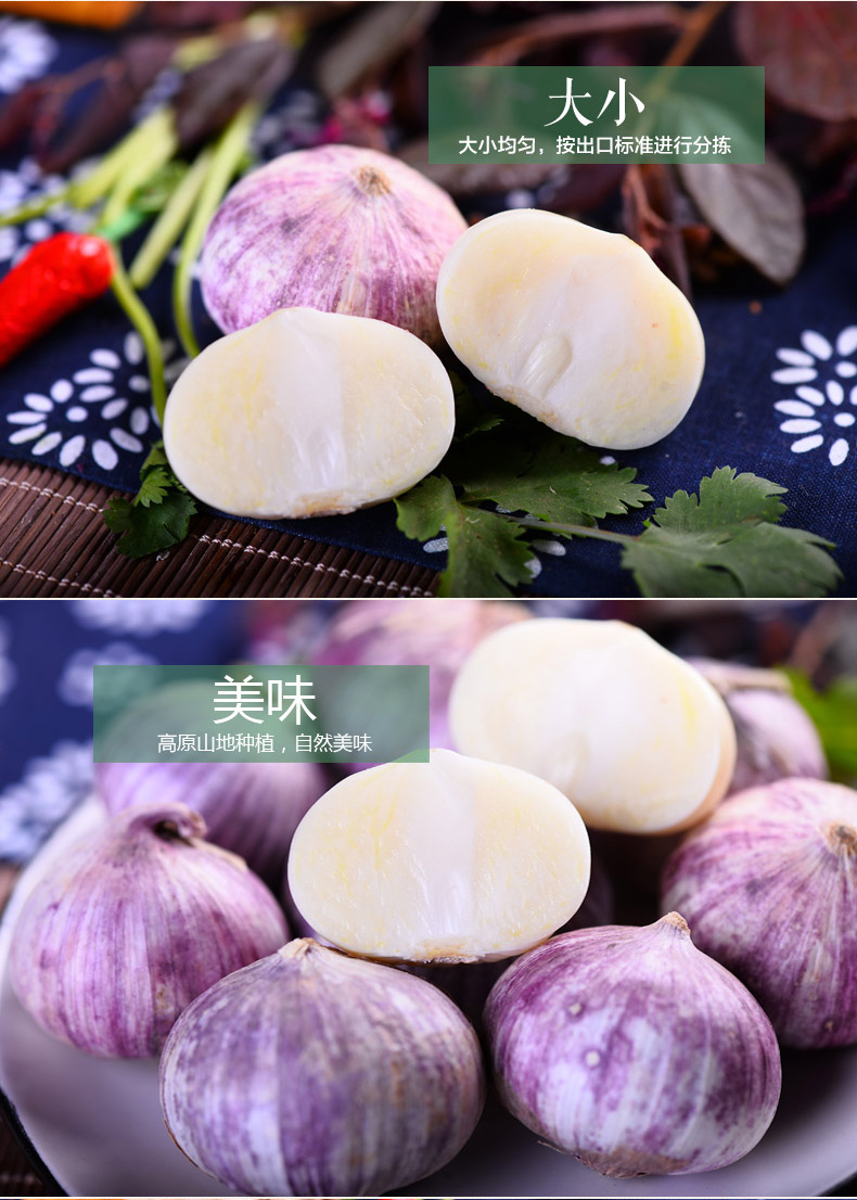 秦麓源云南大理紫皮大蒜新蒜独头蒜农家新鲜蔬菜干蒜黑蒜湿原料2500g