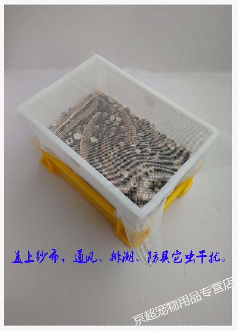 九龙虫养殖盒洋虫养殖盒九龙虫饲养盒九龙虫中号养殖盒一组