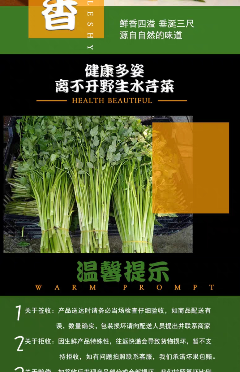 東北特產水芹菜小葉健康農家野菜新鮮蔬菜湖南種苗根特產5斤紙箱裝