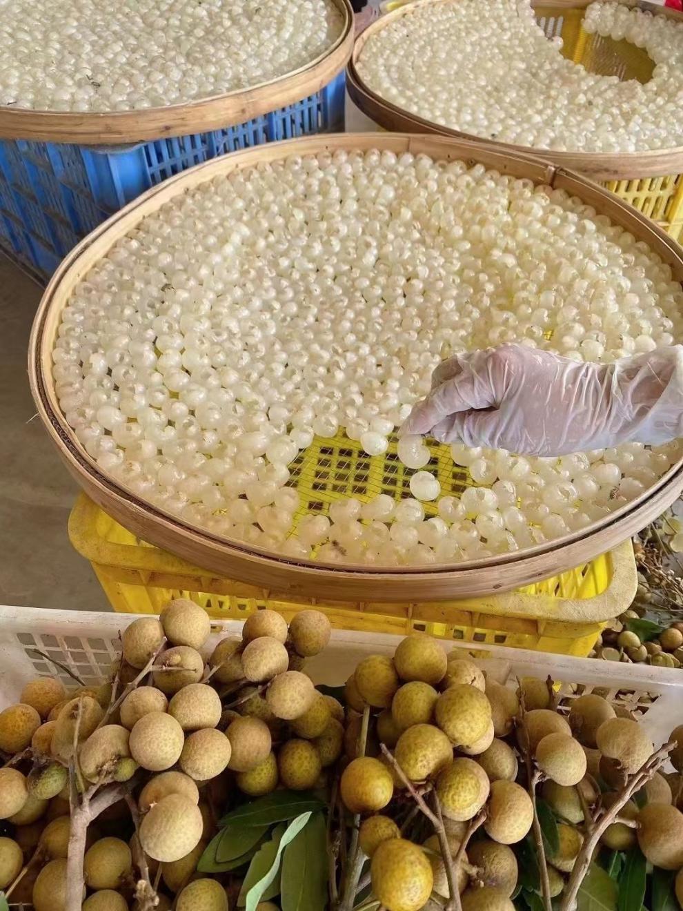 桂圆肉广东高州桂圆干无壳无核桂圆肉龙眼肉特大8a果桂圆肉特级桂圆肉