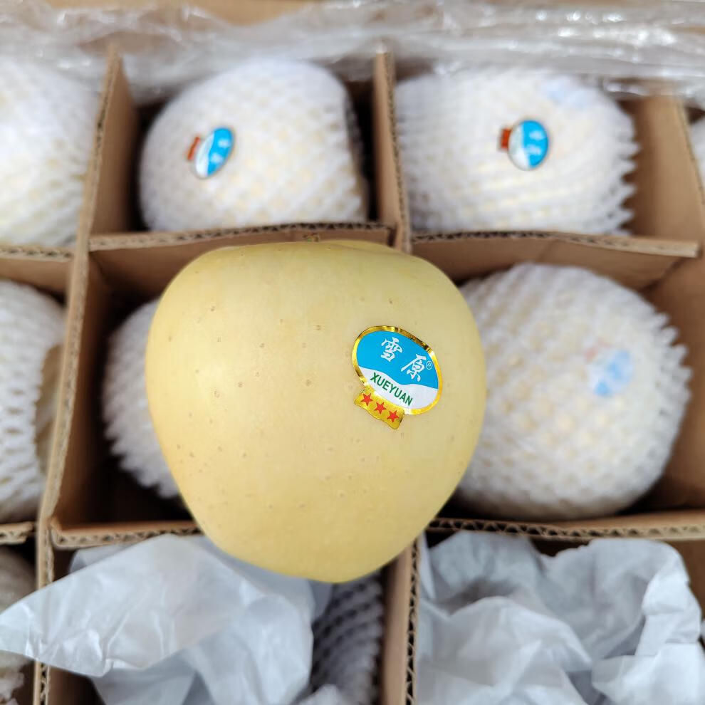 朵蕙 正宗甘肃雪原白果金帅苹果特级苹果礼盒新疆脆甜多汁整箱当季新