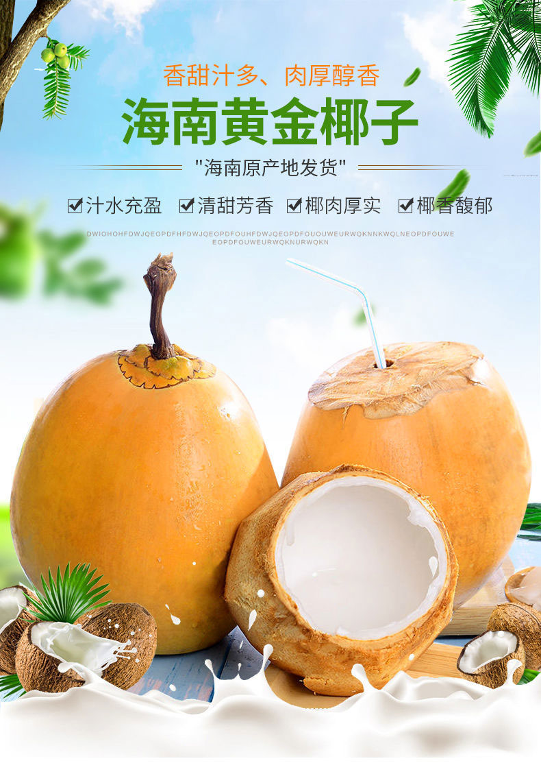 海南新鲜黄金椰子4-6-9个装带皮椰青孕妇特产水果红椰金椰补羊水yater