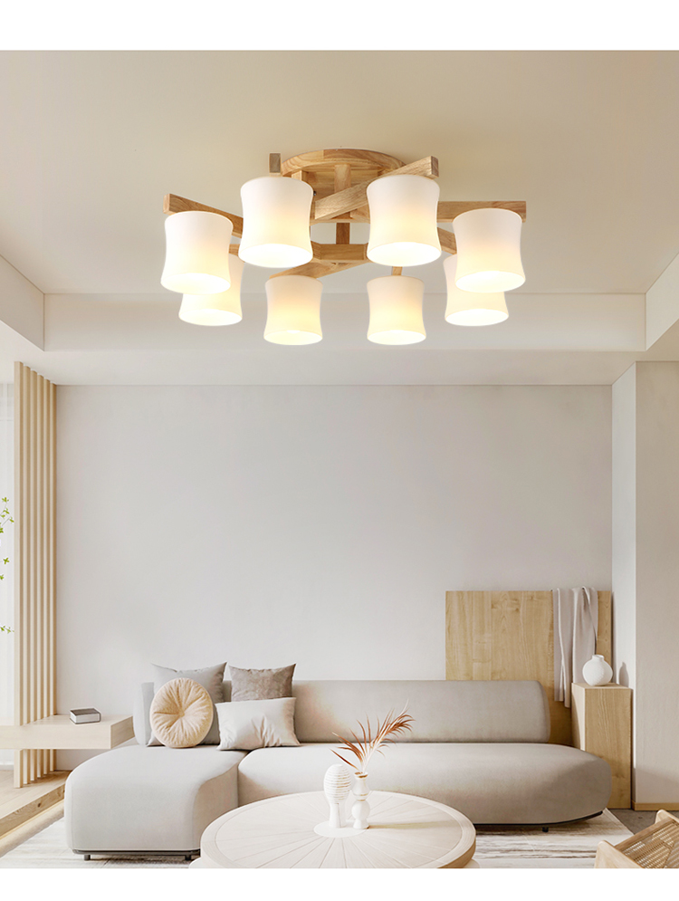 餐厅卧室三室两厅灯具全屋套餐组合向日葵直径35cm18w三色升级背透光