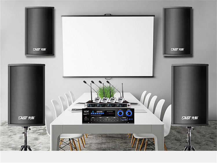 先科sastk5会议室音响套装壁挂式音箱专业培训会议教室商用音箱卡拉ok
