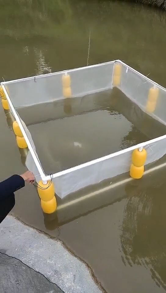 鱼苗孵化桶制作方法图片