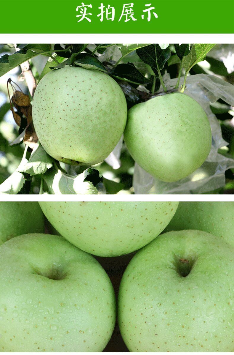 王林青苹果新鲜金帅苹果孕妇水果酸甜脆爽丑苹果9斤大果