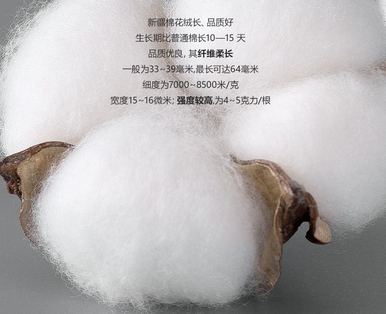 520afa137897244f.jpg
