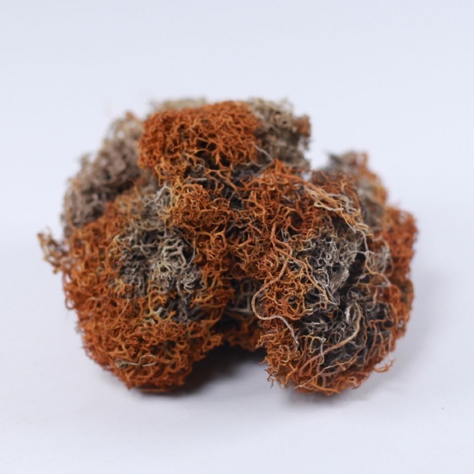 中药材新货养生红雪茶西藏红雪茶野生金丝血红茶有仁堂红雪茶250克