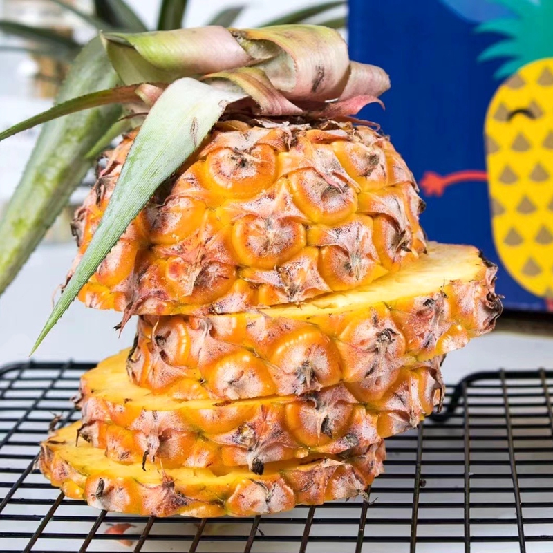 源外园顺丰直达海南天地人金钻凤梨大果新品种树上熟凤梨q坏果包赔