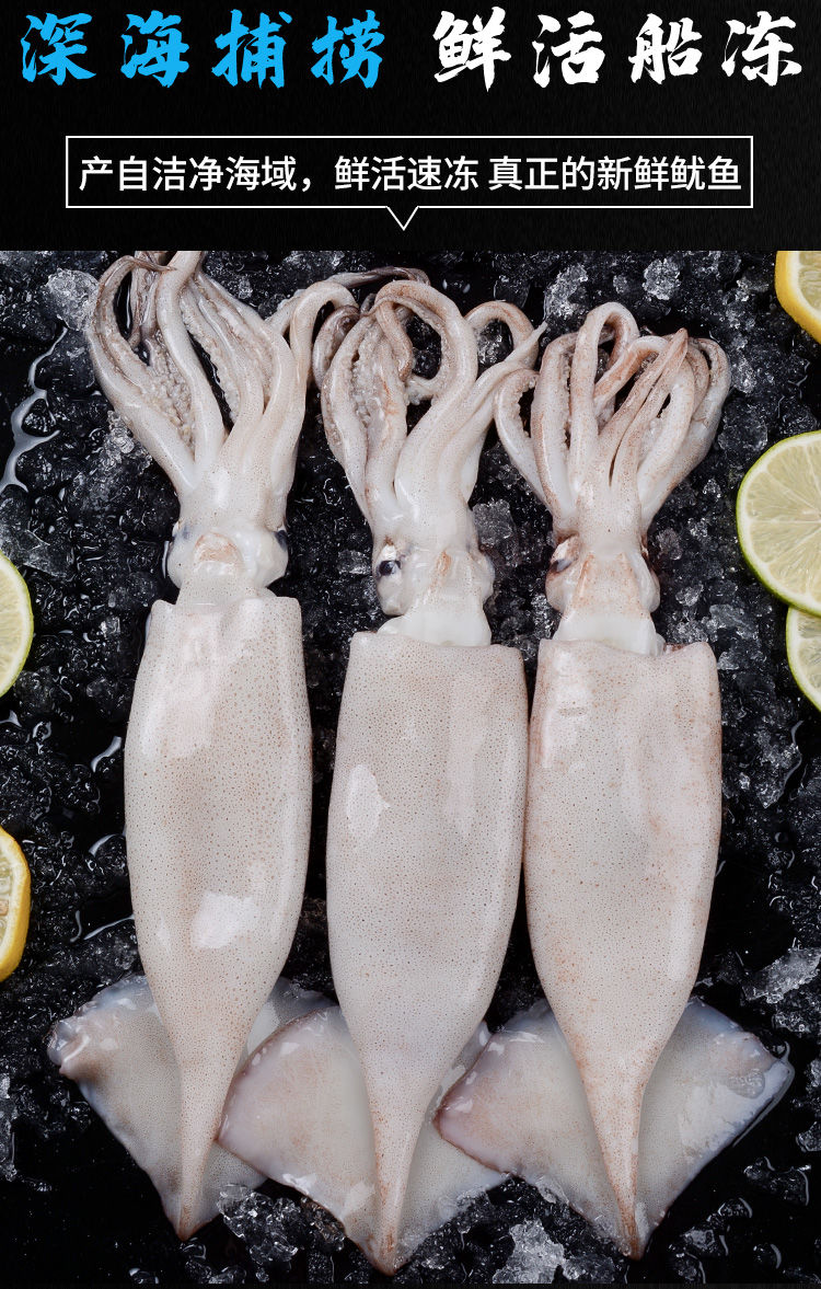 鱿鱼新鲜冷冻大鱿鱼冻鱿鱼片整只鱿鱼烧烤食材海鲜水产华奥薇斯1斤
