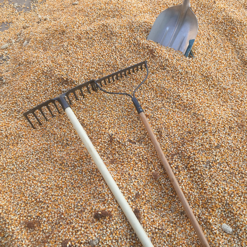 2022新 款锰钢平地翻松土铁耙子九齿钉耙搂草工具八戒耙子耙耙子