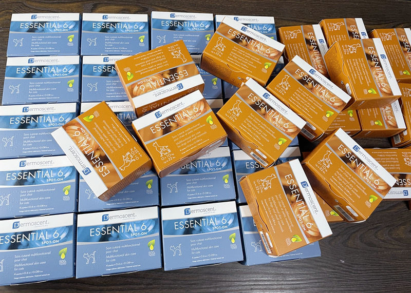 法国德美丝黄金点滴剂 法国德美丝狗狗黄金点滴剂宠物真菌皮肤皮屑